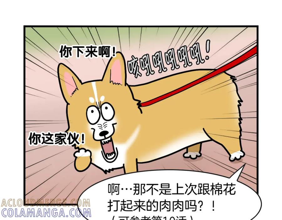 《我的狗子叫棉花》第16话 大狗的软肋 第25页