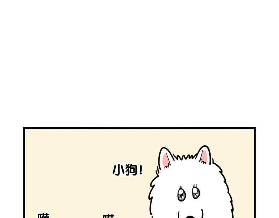 《我的狗子叫棉花》第16话 大狗的软肋 第39页