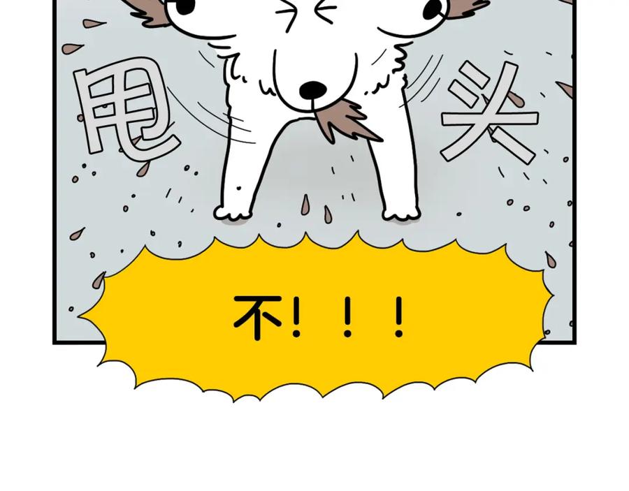《我的狗子叫棉花》第17话 酷爱捡东西 第77页