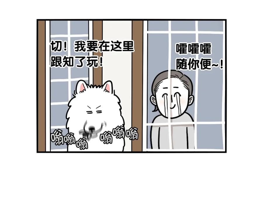 《我的狗子叫棉花》第17话 酷爱捡东西 第56页
