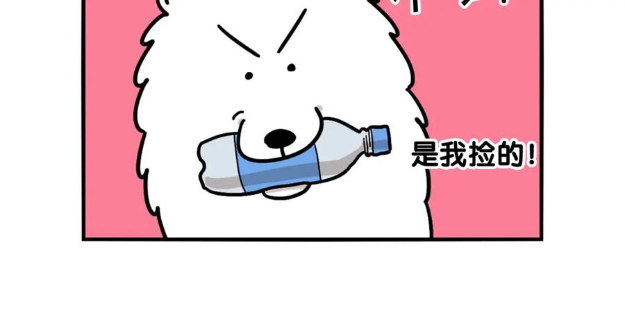 《我的狗子叫棉花》第17话 酷爱捡东西 第15页