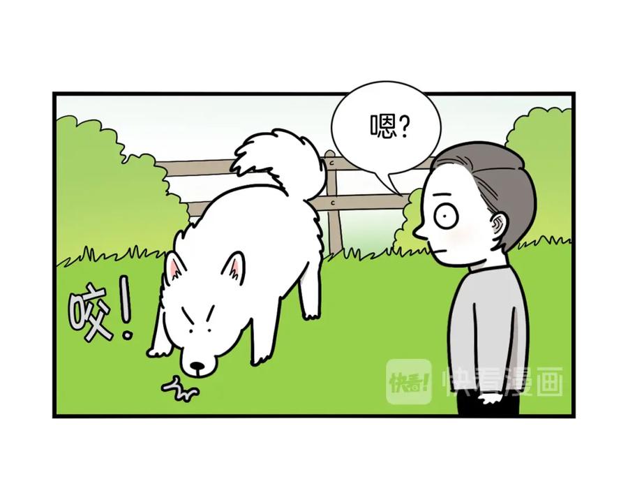《我的狗子叫棉花》第17话 酷爱捡东西 第41页