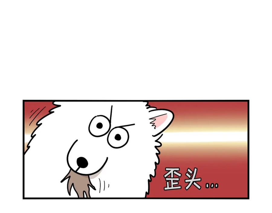 《我的狗子叫棉花》第17话 酷爱捡东西 第75页