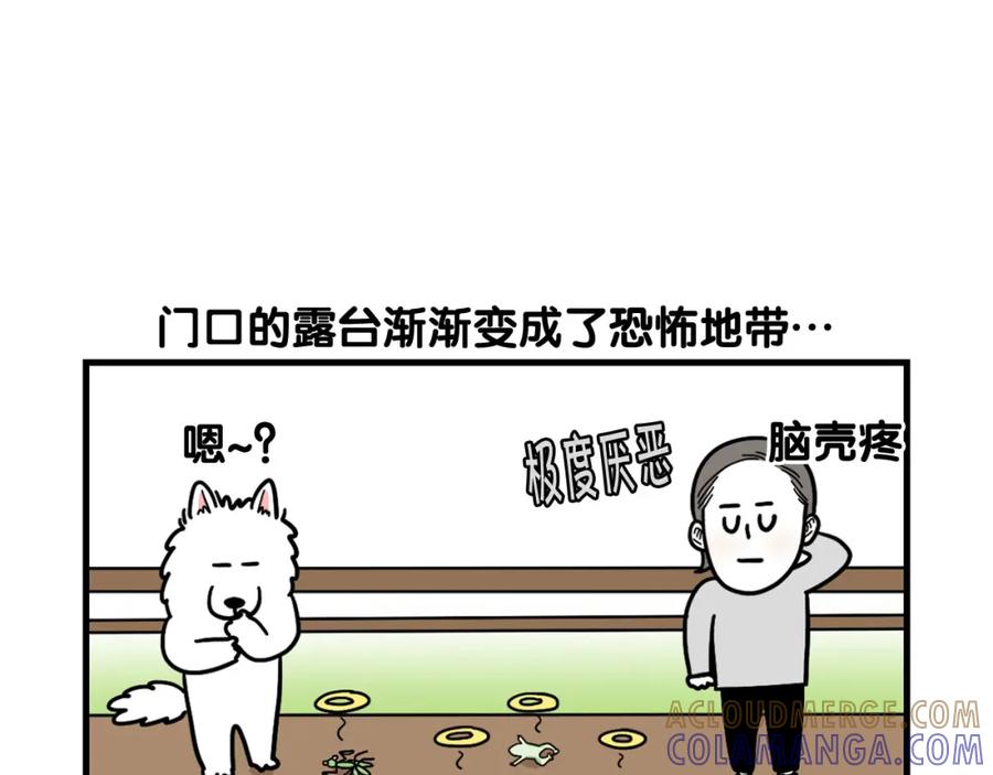 《我的狗子叫棉花》第17话 酷爱捡东西 第67页