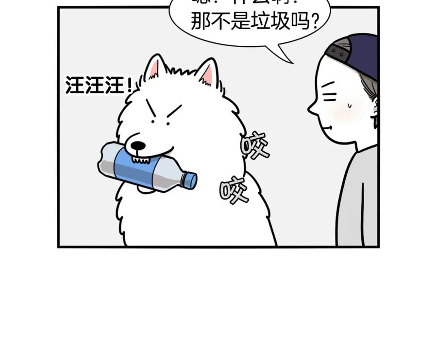 《我的狗子叫棉花》第17话 酷爱捡东西 第12页