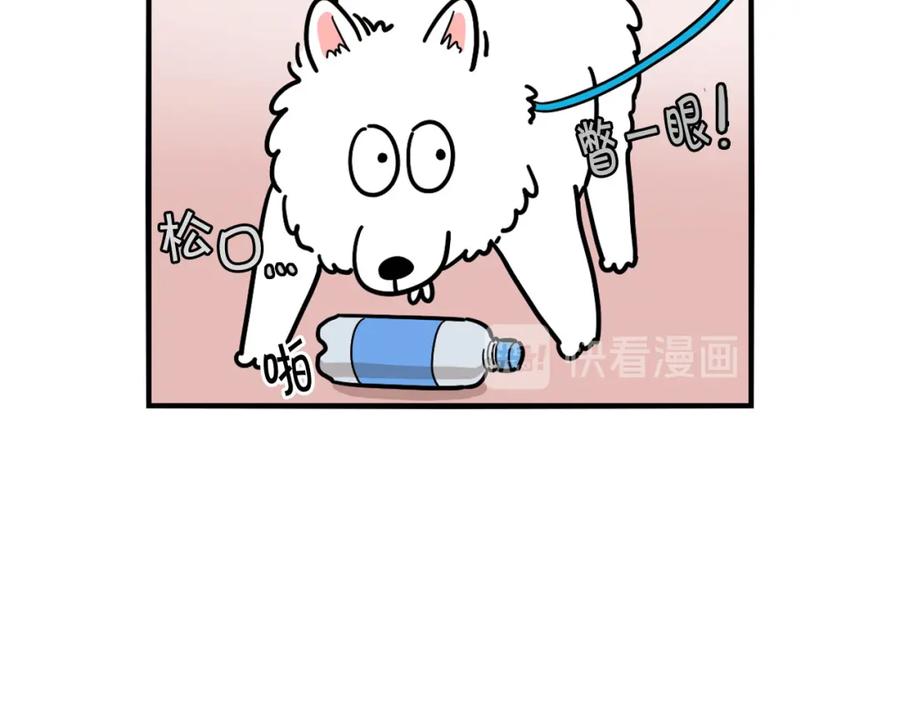 《我的狗子叫棉花》第17话 酷爱捡东西 第20页