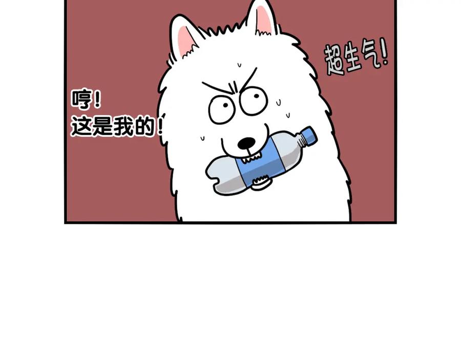 《我的狗子叫棉花》第17话 酷爱捡东西 第24页