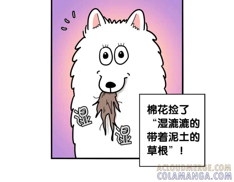 《我的狗子叫棉花》第17话 酷爱捡东西 第73页