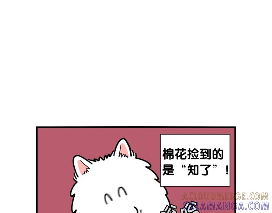 《我的狗子叫棉花》第17话 酷爱捡东西 第49页