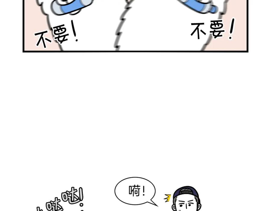 《我的狗子叫棉花》第17话 酷爱捡东西 第17页
