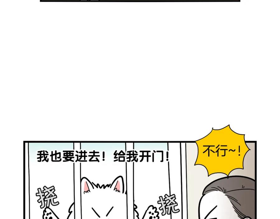《我的狗子叫棉花》第17话 酷爱捡东西 第54页