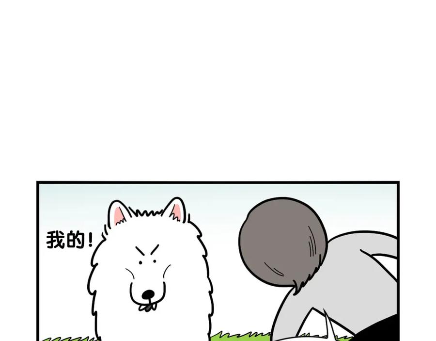 《我的狗子叫棉花》第17话 酷爱捡东西 第42页