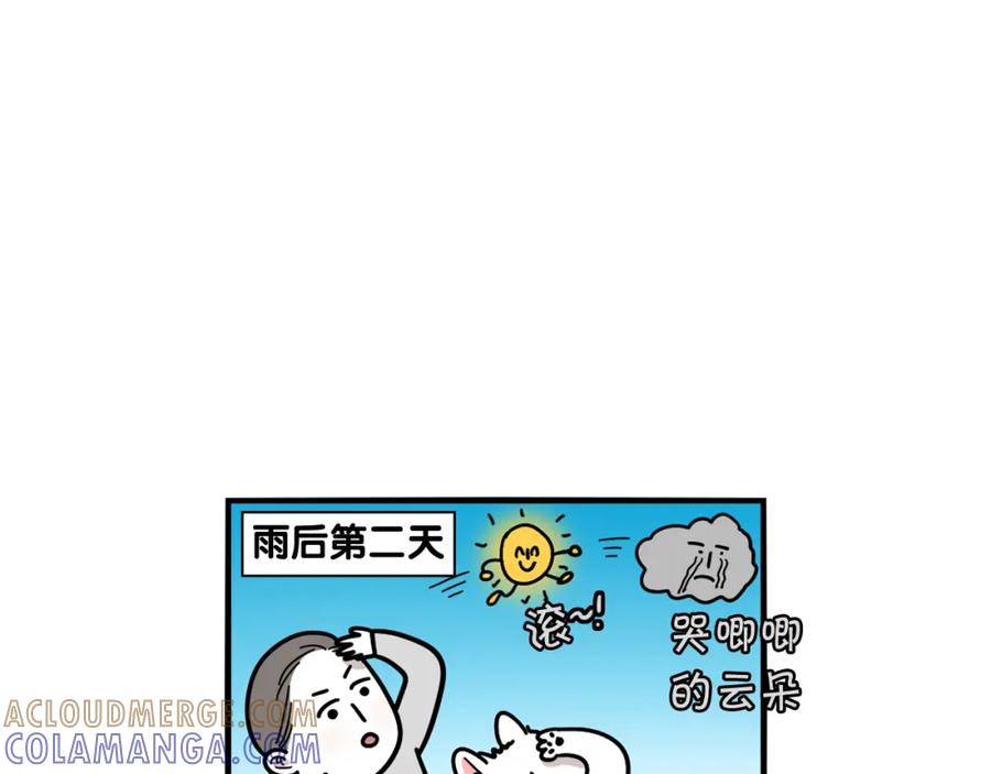 《我的狗子叫棉花》第17话 酷爱捡东西 第70页