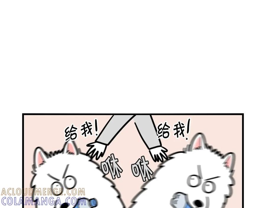 《我的狗子叫棉花》第17话 酷爱捡东西 第16页