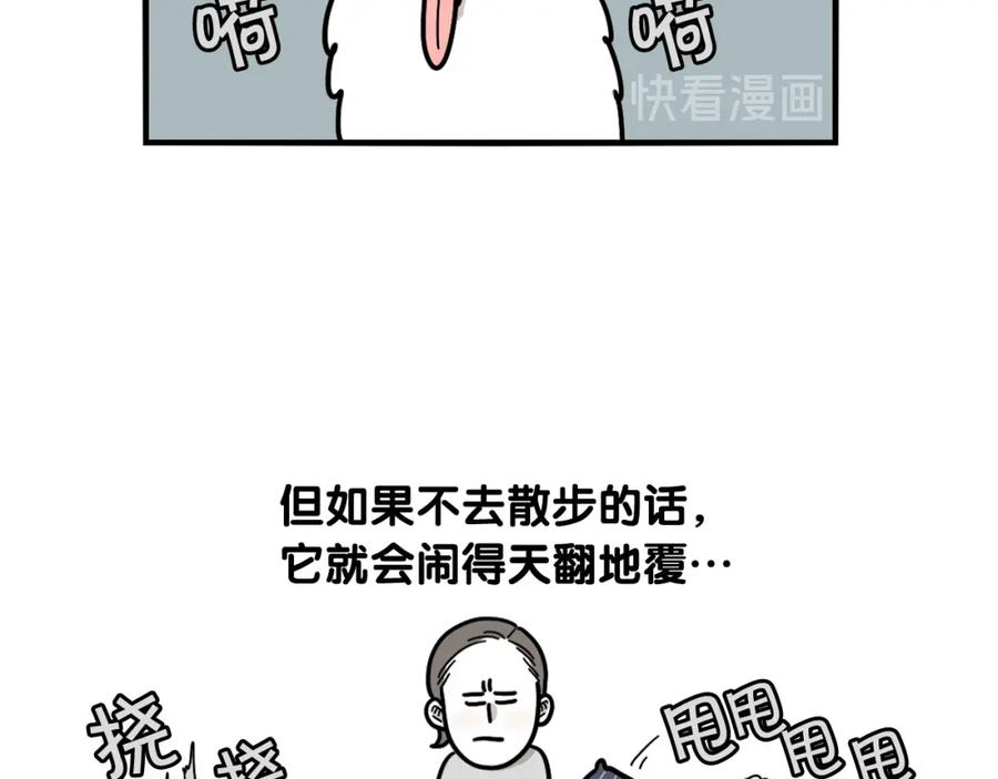 《我的狗子叫棉花》第18话 驱虫大作战 第32页