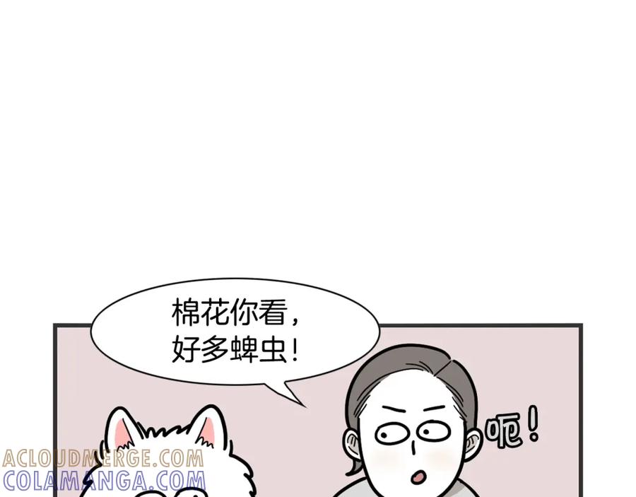 《我的狗子叫棉花》第18话 驱虫大作战 第76页