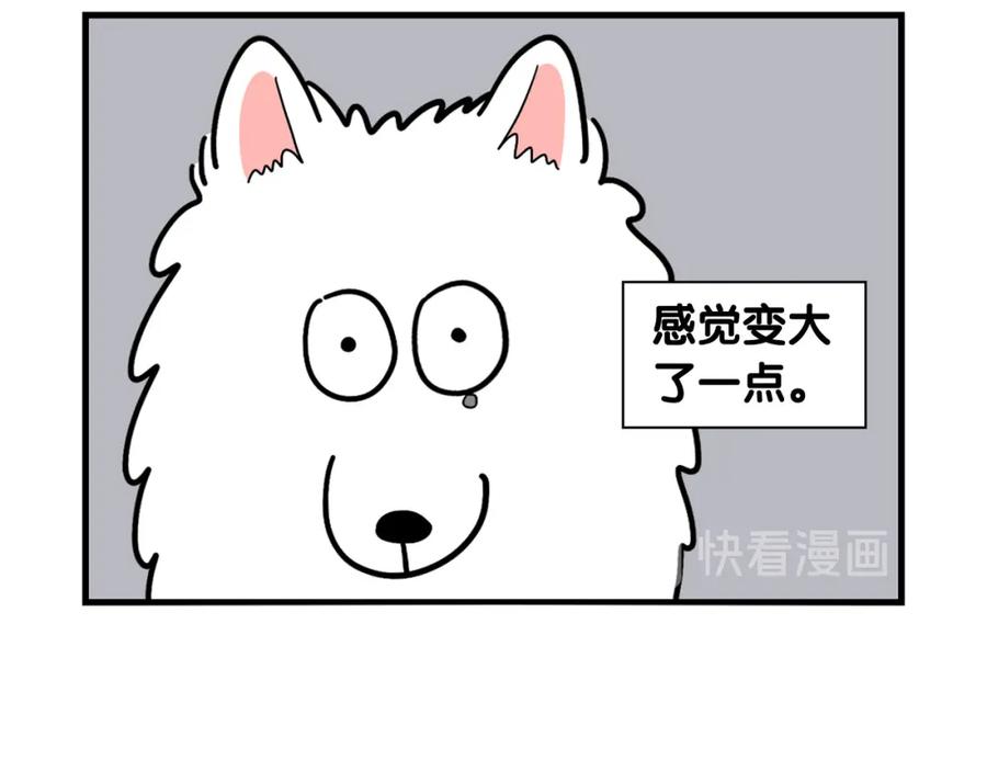 《我的狗子叫棉花》第18话 驱虫大作战 第53页