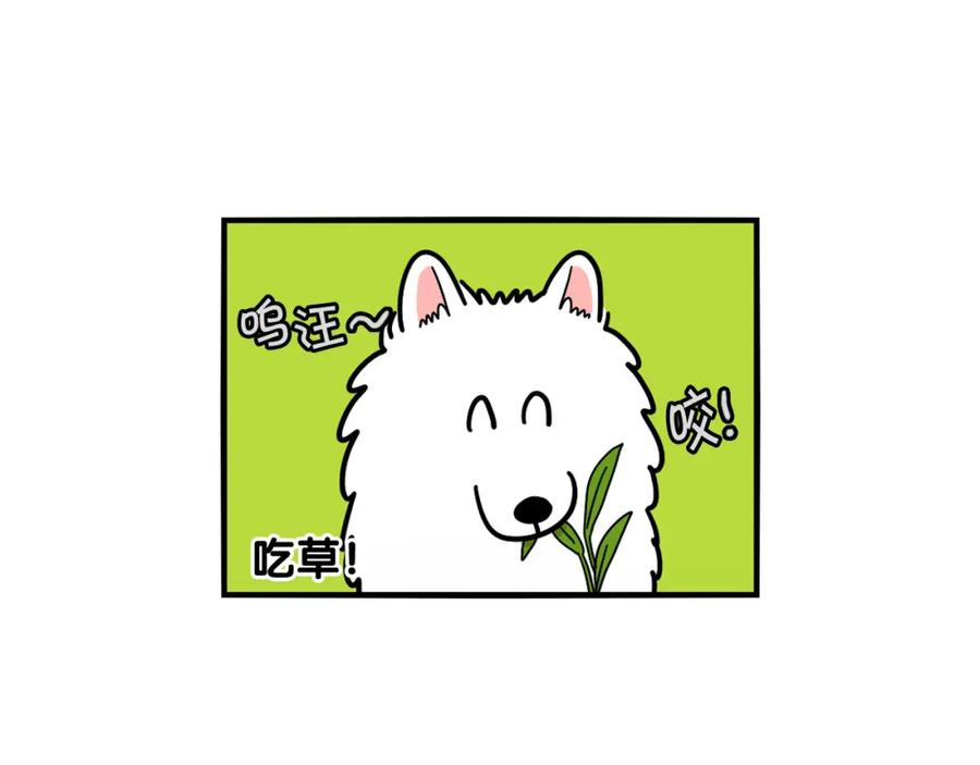 《我的狗子叫棉花》第18话 驱虫大作战 第8页
