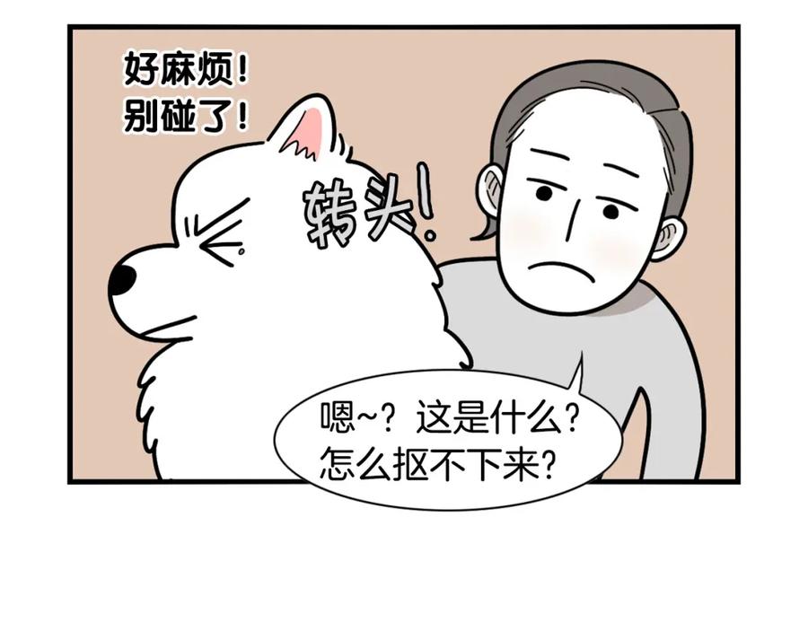 《我的狗子叫棉花》第18话 驱虫大作战 第50页