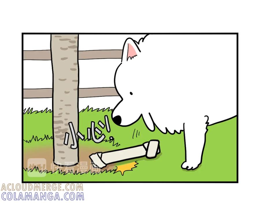 《我的狗子叫棉花》第19话 藏磨牙棒 第19页