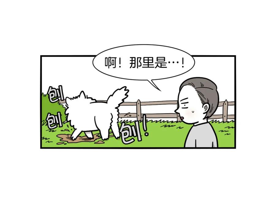 《我的狗子叫棉花》第19话 藏磨牙棒 第54页