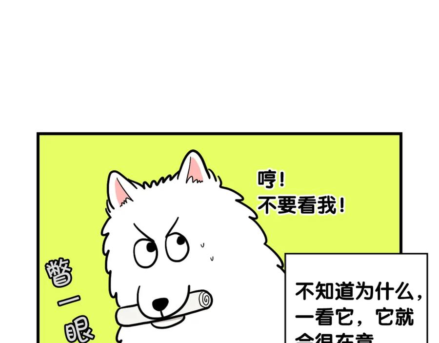 《我的狗子叫棉花》第19话 藏磨牙棒 第74页
