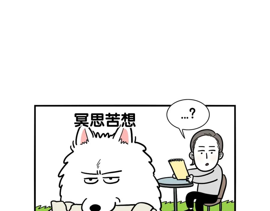 《我的狗子叫棉花》第19话 藏磨牙棒 第14页