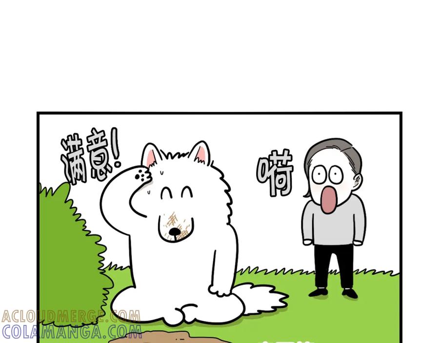 《我的狗子叫棉花》第19话 藏磨牙棒 第37页