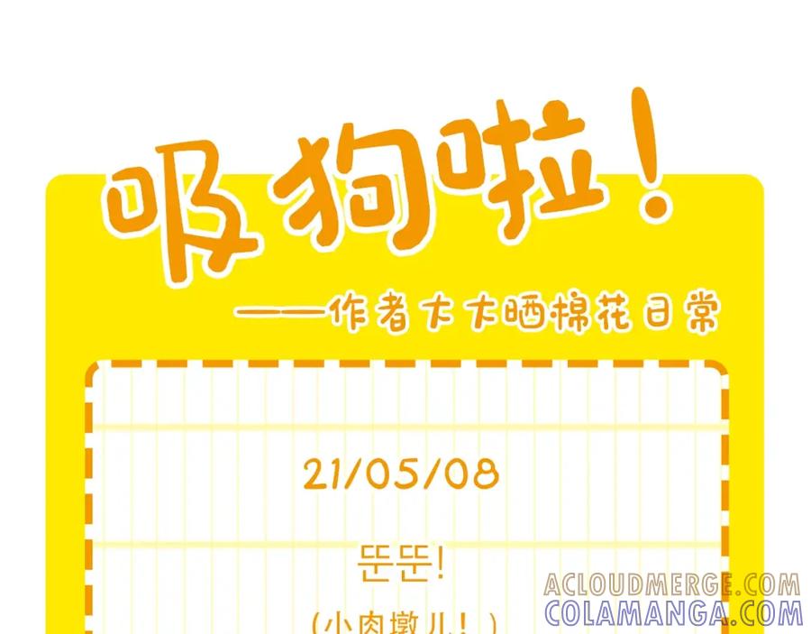 《我的狗子叫棉花》第19话 藏磨牙棒 第88页