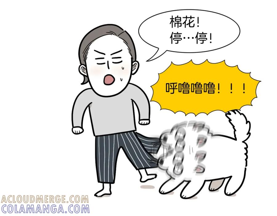 《我的狗子叫棉花》第20话 越大越好养？ 第76页