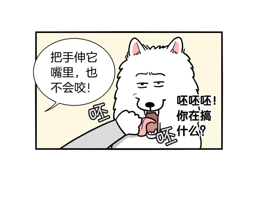 《我的狗子叫棉花》第20话 越大越好养？ 第11页