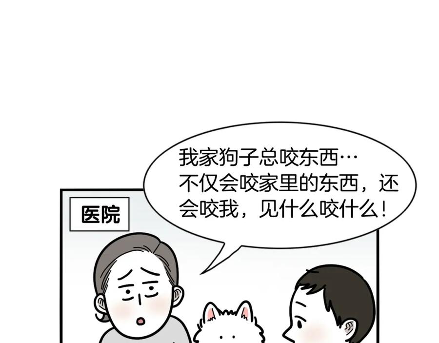 《我的狗子叫棉花》第21话 可怕的换牙期 第29页