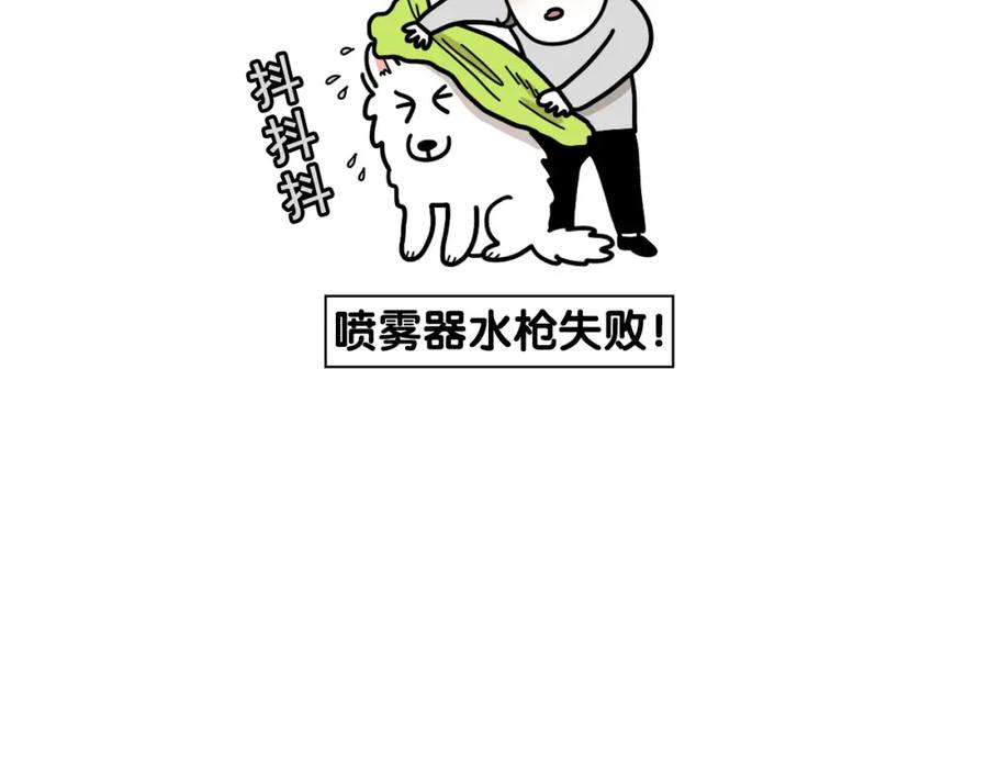 《我的狗子叫棉花》第21话 可怕的换牙期 第74页