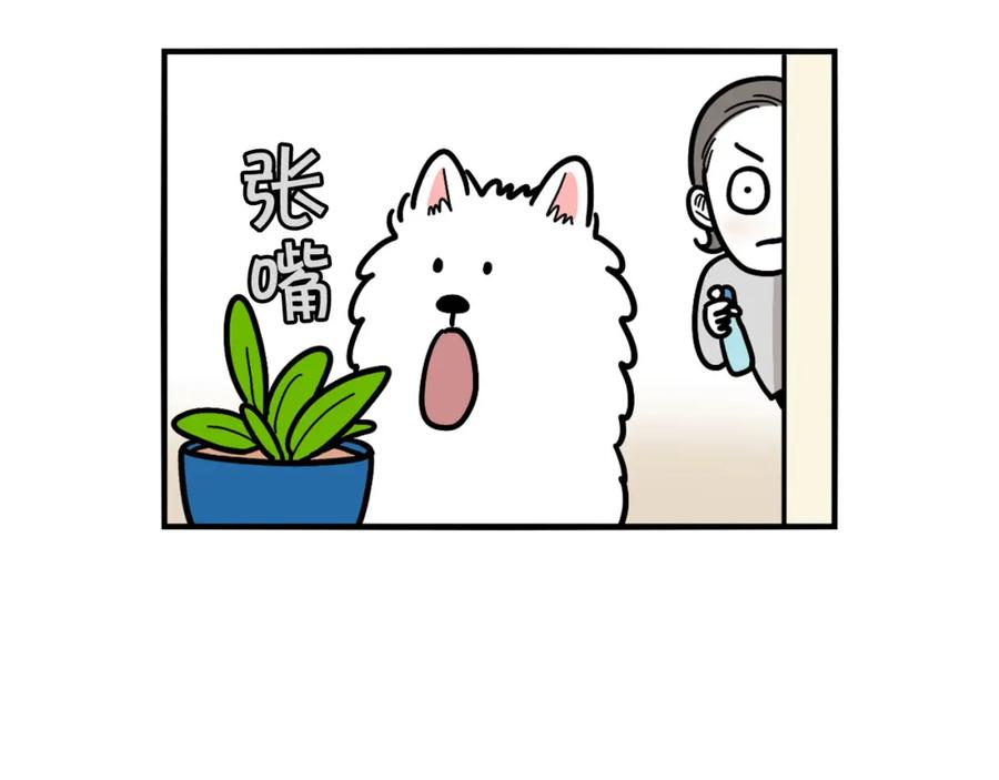 《我的狗子叫棉花》第21话 可怕的换牙期 第69页
