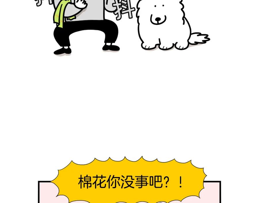 《我的狗子叫棉花》第21话 可怕的换牙期 第20页