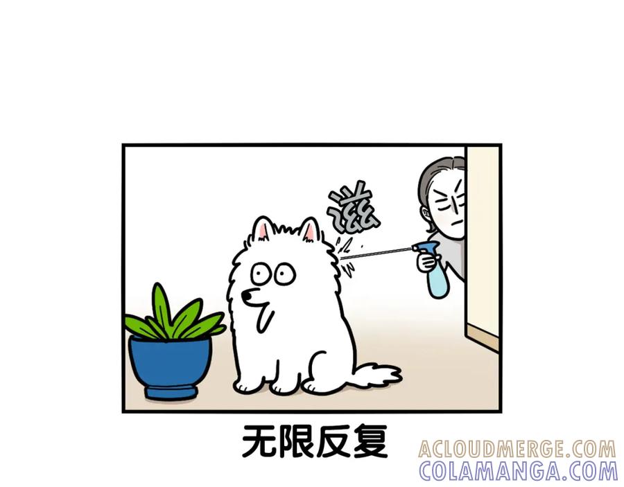 《我的狗子叫棉花》第21话 可怕的换牙期 第70页