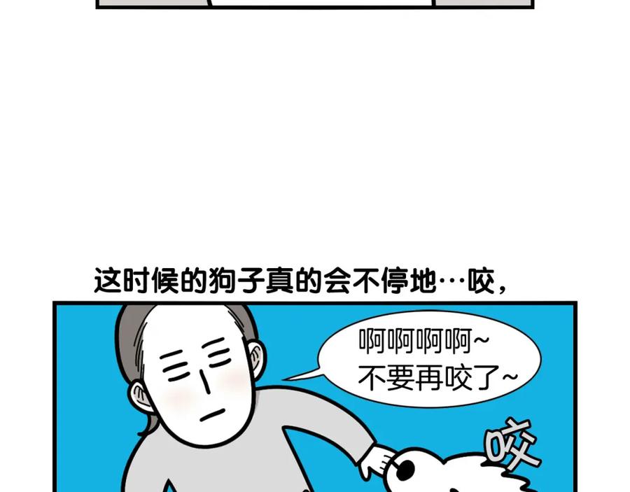 《我的狗子叫棉花》第21话 可怕的换牙期 第6页