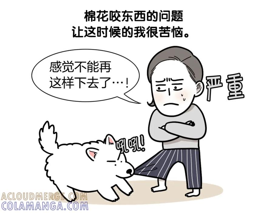 《我的狗子叫棉花》第21话 可怕的换牙期 第28页
