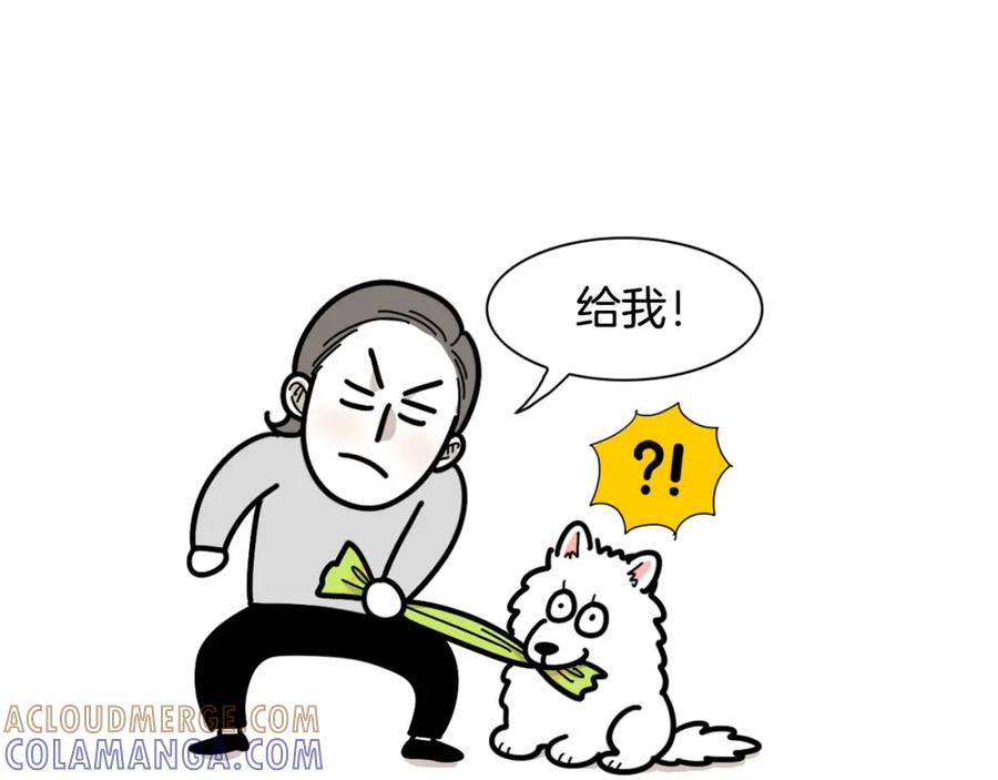 《我的狗子叫棉花》第21话 可怕的换牙期 第10页