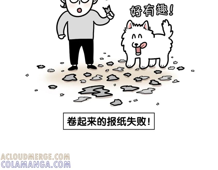 《我的狗子叫棉花》第21话 可怕的换牙期 第52页