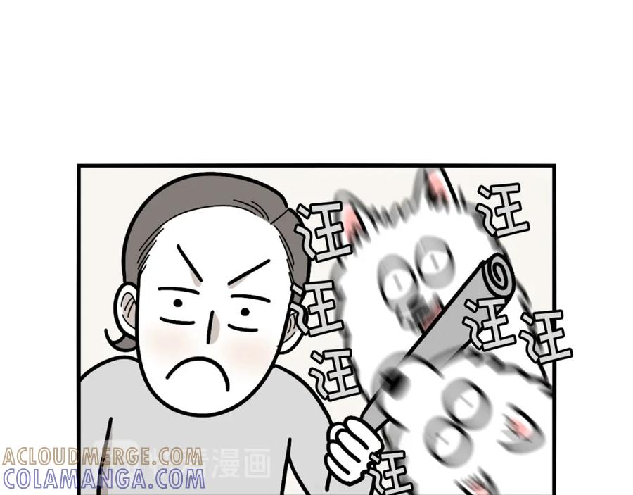 《我的狗子叫棉花》第21话 可怕的换牙期 第49页
