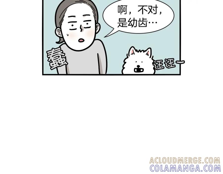 《我的狗子叫棉花》第21话 可怕的换牙期 第25页