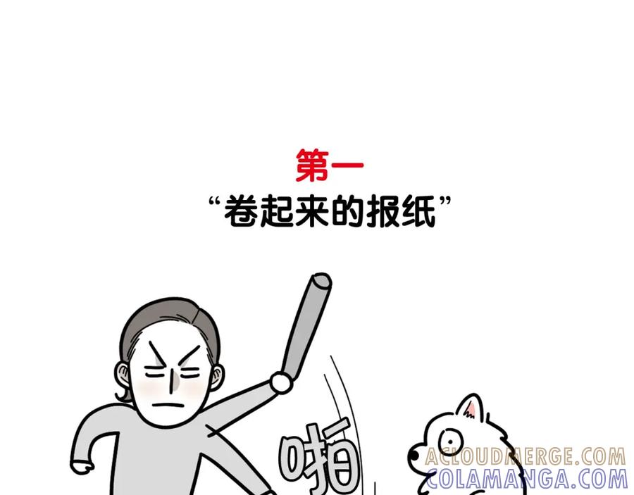 《我的狗子叫棉花》第21话 可怕的换牙期 第46页