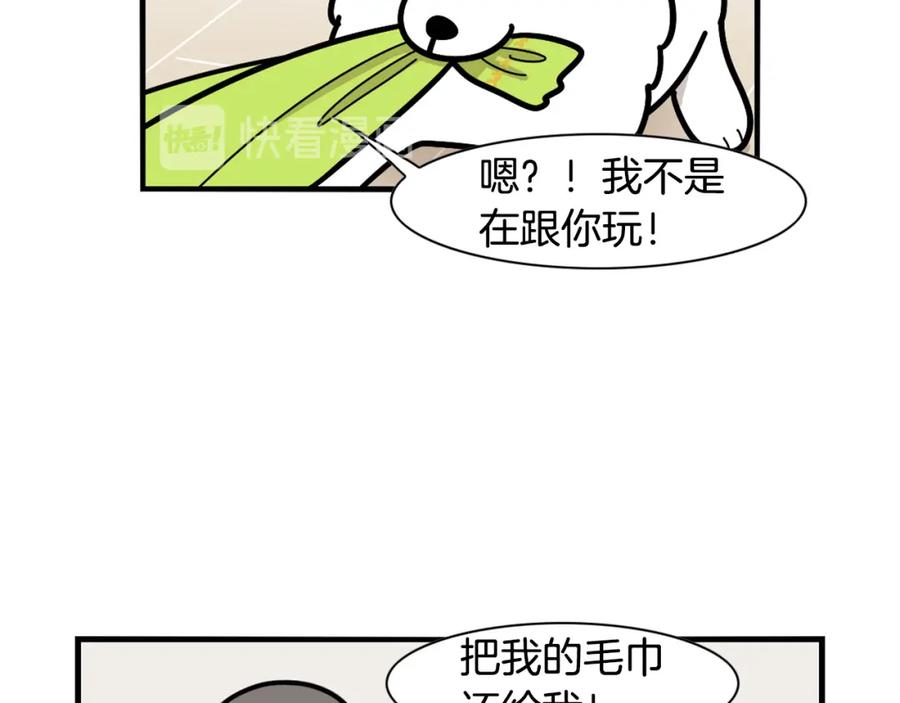 《我的狗子叫棉花》第21话 可怕的换牙期 第12页