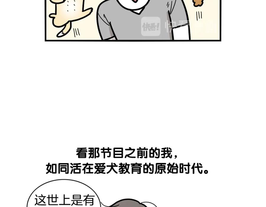 《我的狗子叫棉花》第21话 可怕的换牙期 第41页