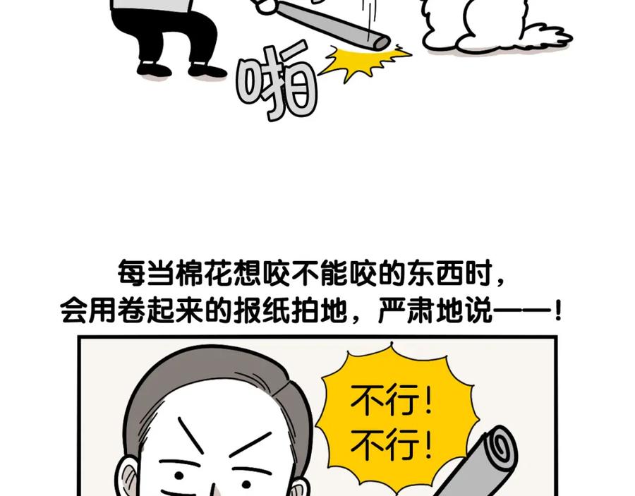 《我的狗子叫棉花》第21话 可怕的换牙期 第47页