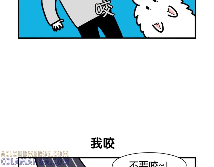 《我的狗子叫棉花》第21话 可怕的换牙期 第7页