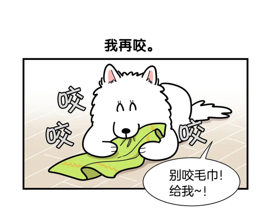 《我的狗子叫棉花》第21话 可怕的换牙期 第9页