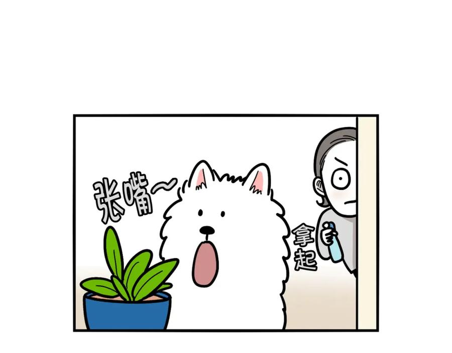 《我的狗子叫棉花》第21话 可怕的换牙期 第65页