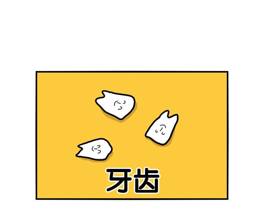 《我的狗子叫棉花》第21话 可怕的换牙期 第18页